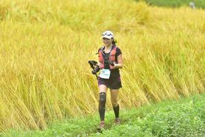 BIB: 
                            <button type="button" onclick="openModal(13434225)" class="btn btn-primary btn-sm float-right btn-popup" data-toggle="modal" data-target=".modal-high-quality">
                        <i class="fas fa-shopping-cart"></i> Add to Cart
                    </button>
                                            <button type="button" onclick="isThisMe(13434225, true)" class="btn btn-success btn-sm float-right btn-popup btn-isme hidden" data-toggle="tooltip" data-placement="bottom" title="นี่คือรูปของคุณใช่ไหม คลิกที่นี่เพื่อเอาเข้าอัลบั้ม">
                        <i class="fas fa-plus"></i> Add to album
                    </button>
                    <button type="button" onclick="isThisMe(13434225, false)" class="btn btn-warning btn-sm float-right btn-popup btn-isnotme hidden">
                        <i class="fas fa-ban"></i> Remove from album
                    </button>